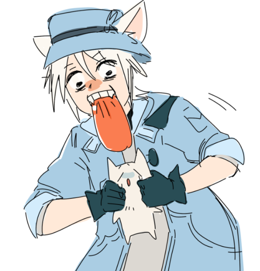 feline on feline violence